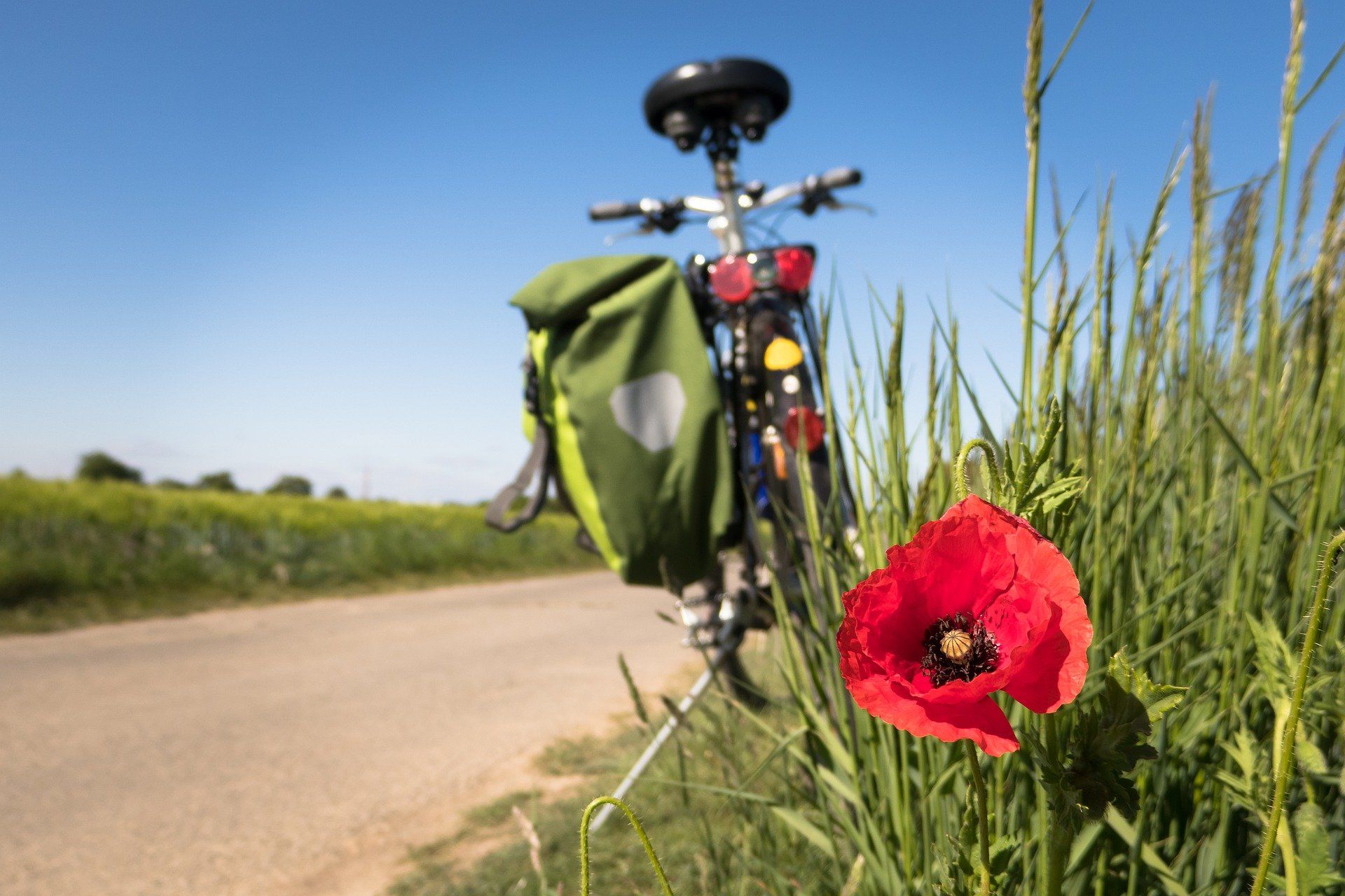 fox fullface helm proframe RS Full Face Helmet - Heatstack Type_Storage Accessories The high Sommeraufbewahrung für Ihren Pelz Age group:Kids